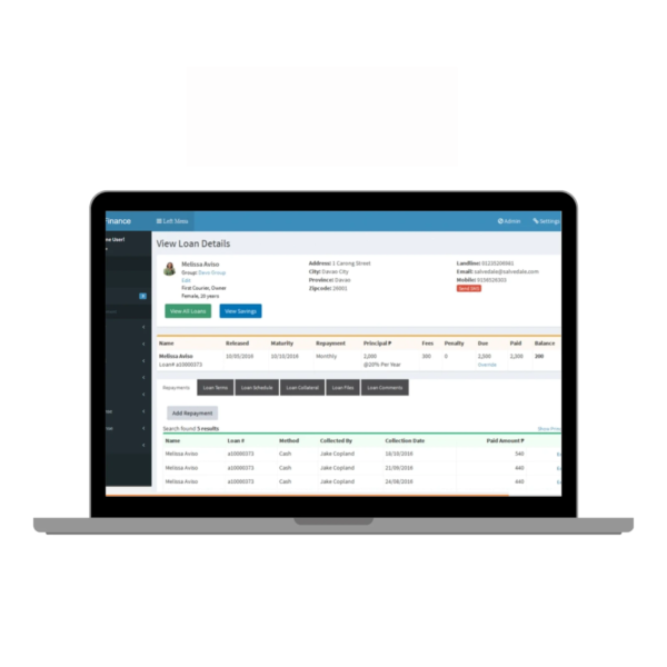 Loan Management System